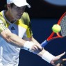andy murray3(edi610x4)